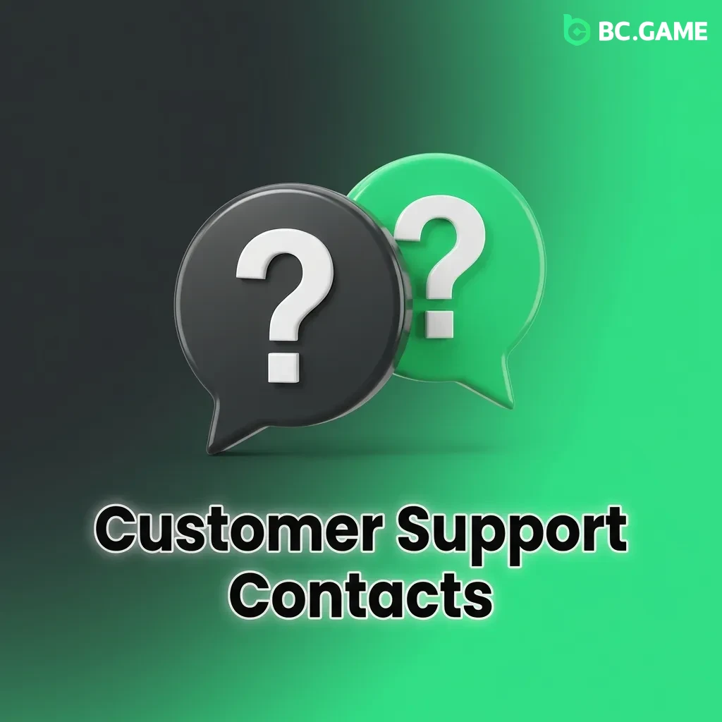 Customer support options including live chat, email, Telegram, and help center for 24/7 payment assistance