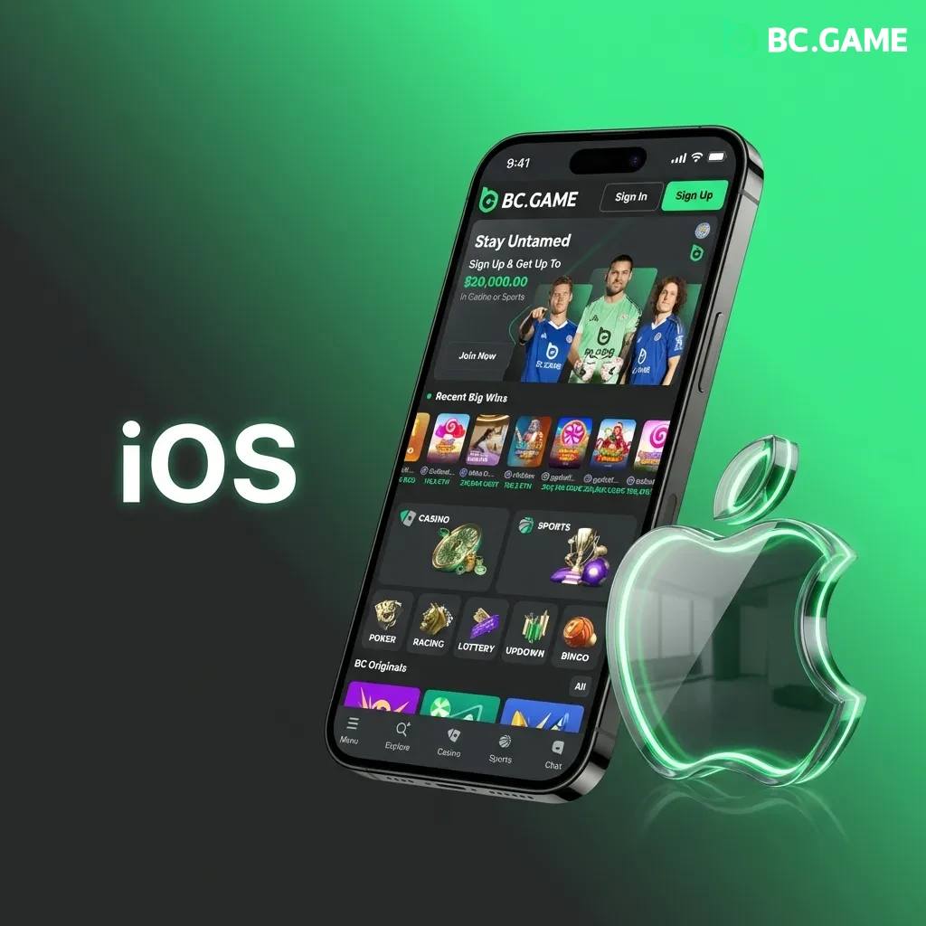 iOS app installation guide showing steps to download and set up the mobile application on iPhone or iPad