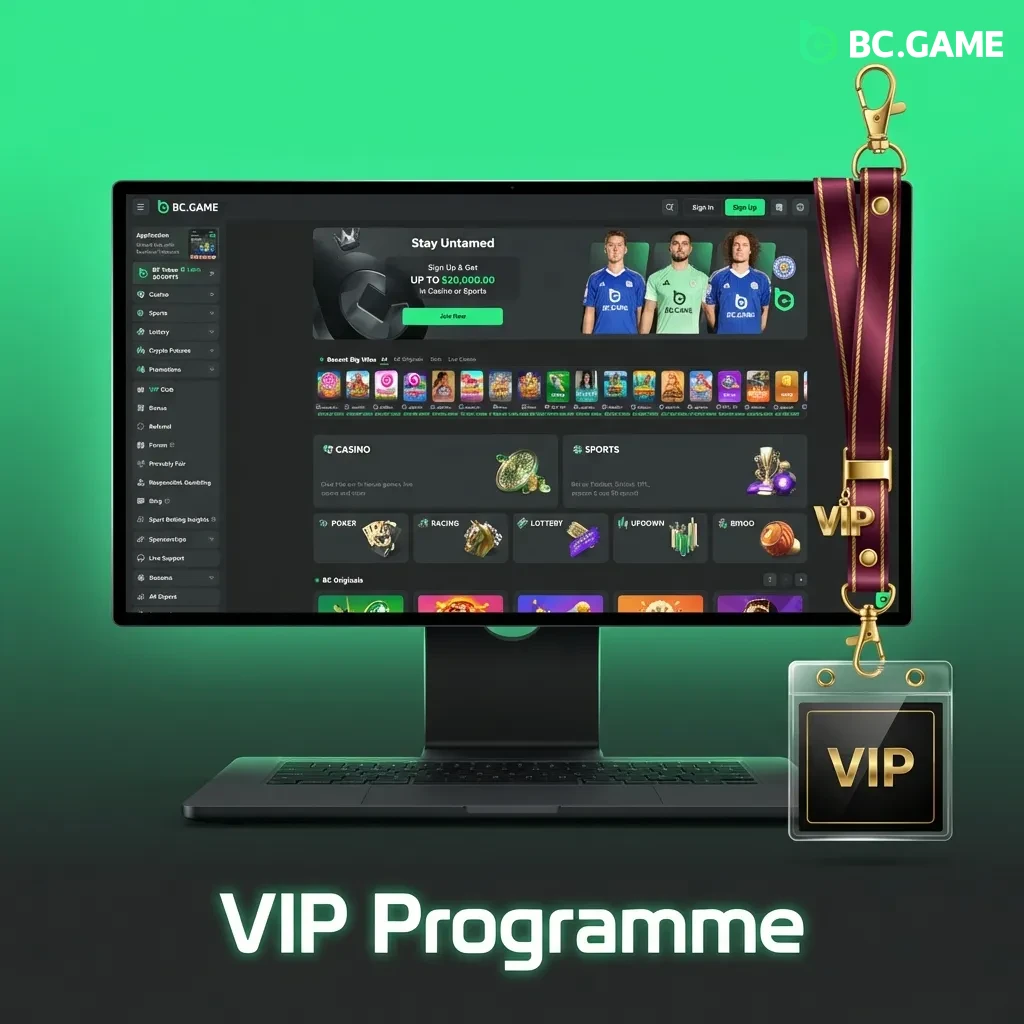VIP loyalty tiers from Bronze to Diamond offering cashback, bonuses, priority withdrawals, and exclusive Belgium events